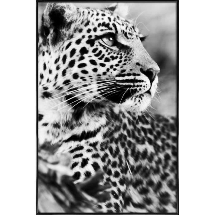 PAINTING ANIMAL LEOPARD BLACK SPOTTED CAT JUNGLE ART POSTER PRINT LV2313