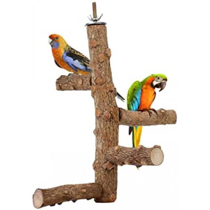 Perchoir De Perroquet Jouet Branches Support D Activite En Bois Pour Petits Oiseaux Perroquets Stand Escalade Cdiscount