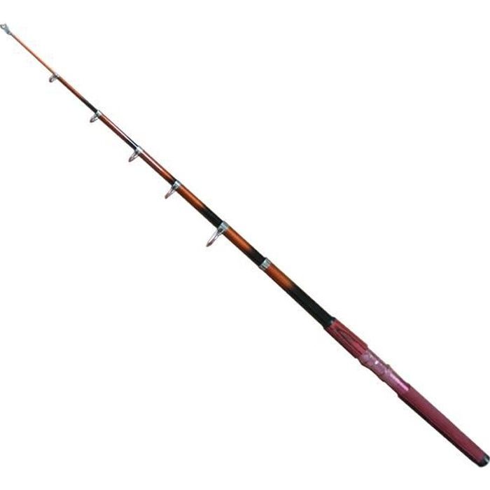 Canne a peche telescopique 4m Clearance