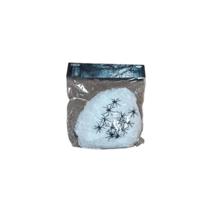 Toile D'araignée Avec Araignées, Décoration D'Halloween