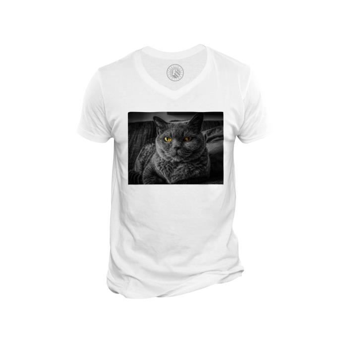 T Shirt Homme Col V Chat De Race Gris Chartreux Yeux Jaunes Mignon Blanc Cdiscount Pret A Porter T Shirt Homme Col V Chat De Race Gris Chartreux Yeux Jaunes Mignon Blanc Cdiscount Pret A Porter