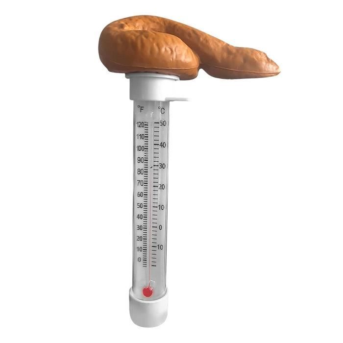 Spoof Poo Thermomètre De Piscine Flottant En Forme De Piscine ...