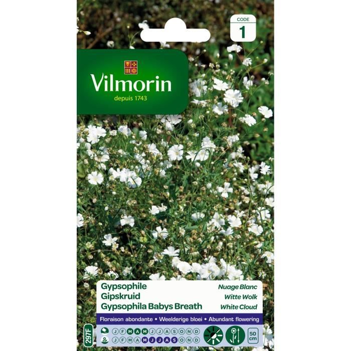 Gypsophile Nuage blanc - VILMORIN - Variété à floraison abondante - Fleurs blanches fines et légères