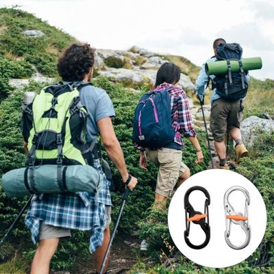 Lot De 10 Mousquetons En S à Vis En Acier Inoxydable – Double Boucle, Mini Porte-clés, Camping, Randonnée