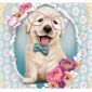 Kit De Broderie Diamant 5d A Faire Soi Meme Kit Peinture Par Numero Adulte Motif Chien Avec Lunettes Kit Point 30 X 30 Cm Achat Vente Tableau Toile Cdiscount