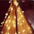 Guirlande lumineuse Exterieure,6M 40 ampoules LED Décoration de Fête Anniversaire Mariage Lumières- Blanc Chaud-0