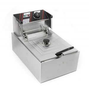 Friteuse Electrique 1l 5 Achat Vente Pas Cher
