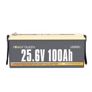BATTERIE VÉHICULE Power Queen Batterie Lithium LiFePO4 - 24V 100Ah - 2560Wh - BMS 100A - 4000+ Cycles - Couleur Gris - L532*P207*H215 mm