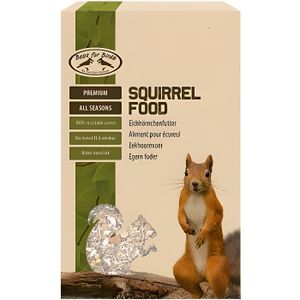 Boîte d'alimentation d'écureuil, maison d'alimentation d'écureuil avec  couverture verte, robuste