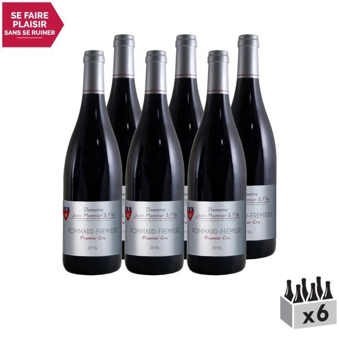Pommard 1er Cru Les Fremiers Rouge 2017 - Lot de 6x75cl - Domaine Jean Monnier et Fils - Vin AOC Rouge de Bourgogne - Cépage Pinot