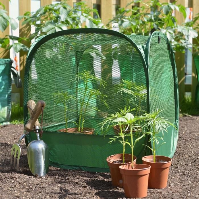 GardenSkill Mini Serre Jardin Pop Up 50cm, Couverture pour Semis, Pot de Fleur, Plantes, Jardinière, Protection Filet Anti-Insecte