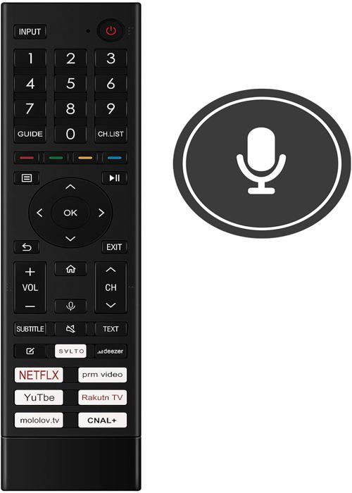 Custodia Telecomando per Hisense ERF3C80H ERF3C80H(0012), Guscio Custodia Telecomando per Hisense ERF3C80H ERF3C80H(0012), Guscio