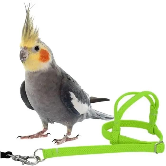Harnais pour oiseaux pour calopsitte harnais doux et soyeux harnais pour petits oiseaux laisse réglable et légère pour vos