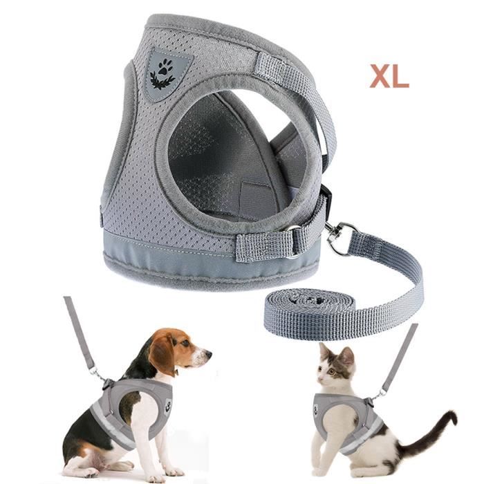 Harnais Pour Chien Avec Laisse, Mesh Doux, Réglable, Respirant, Anti-fuite, Petite à Grande Taille, Bleu Clair