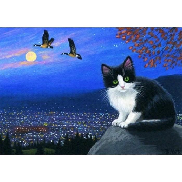 Kit Anniversaire Chat Noir Cdiscount Kit Anniversaire Chat Noir Cdiscount