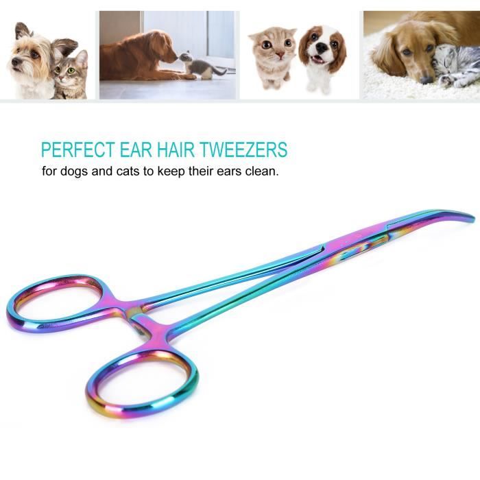 Pierre Tombale Commémorative Pour Chat, Pile Commémorative Pour Animaux De Compagnie