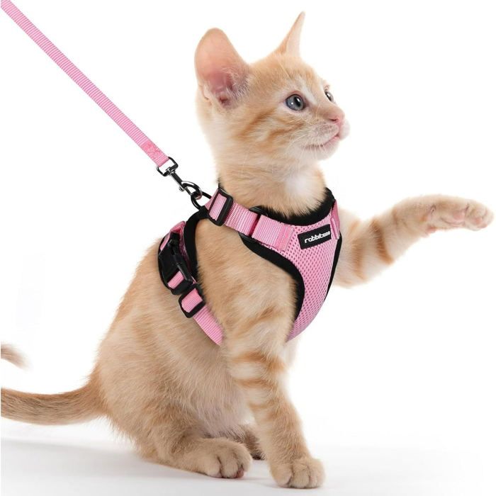 Meilleurs prix pour Rabbitgoo Harnais Chat/Harnais pour Chat/Laisse Harnais Chat Rose XS Collier Harnai Chat Réglable Respirant Respirant avec Laisse