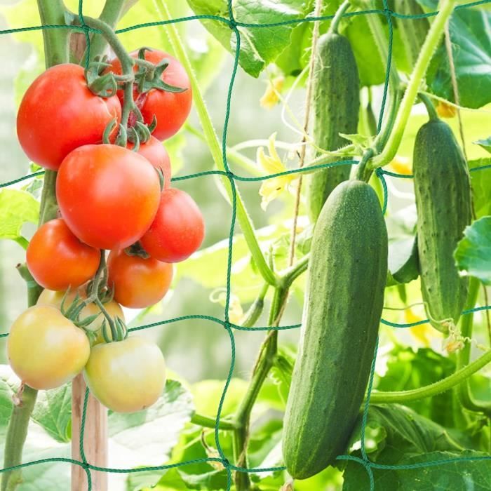 Filet D'Escalade Pour Plantes 2x8m - Maille 10x10cm, Avec 50 Attaches, Pour Tomates, Concombres, Haricots