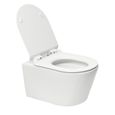 Pack WC Bati-support Geberit Duofix UP100 + WC sans bride SAT Brevis + Abattant ultra-fin-1