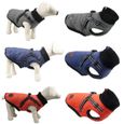 Blue-XS -Hiver chaud chien vêtements imperméable gilet veste à glissière manteau avec harnais pour petits chiens moyens Chihuahua-2