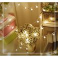 Guirlande lumineuse Exterieure,6M 40 ampoules LED Décoration de Fête Anniversaire Mariage Lumières- Blanc Chaud-3