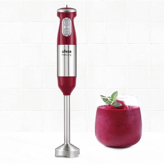 mixeur plongeant oster