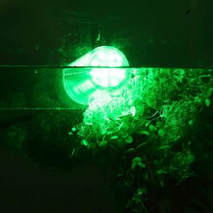 Lampe de pêche Green Blob-15000, LED sous-marine, adaptateur de