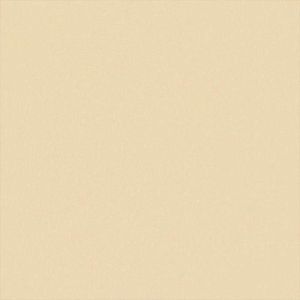 Toile De Remplacement Pour Store Banne - Tissu Crème Polyester 5x3,5 M (480x345 Cm) - Résistant UV Et Imperméable - 13