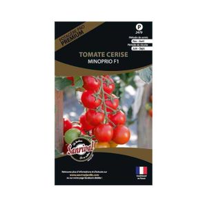 GRAINE - SEMENCE Graines potagères premium tomate Cerise Minoprio