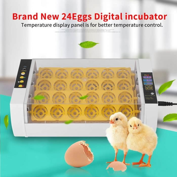 Incubateur d'œufs - 24 oeufs - Contrôle de température automatique HB014