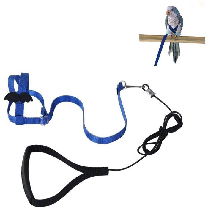 Harnais réglable pour perroquet - Harnais pour oiseau - Laisse pour oiseau - Harnais pour oiseaux - 1 pièce - bleu - XS - Convient