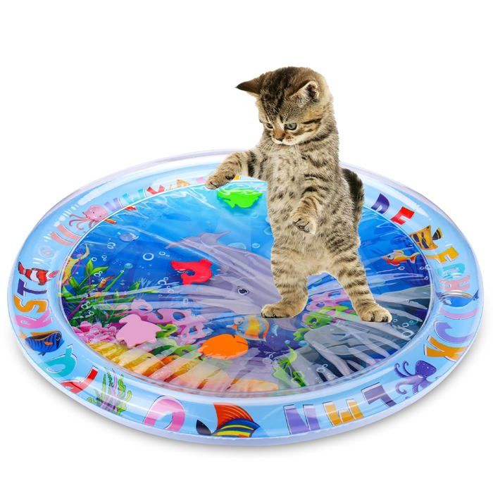 Tapis déveil sensoriel aquatique pour chats jouets pour chats dintérieur qui sennuient tapis déveil pour chats