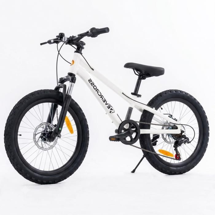 VTT Vélo Enfant EVERCROSS TECH EM5 20 - Vélo Tout Terrain en Aluminium 7 Vitesses Frein à Disque - Blanc