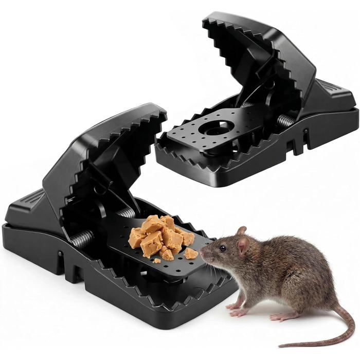 Piège à rats mécanique XXL 21 cm - lot de 2 - réutilisable idéal intérieur et extérieur