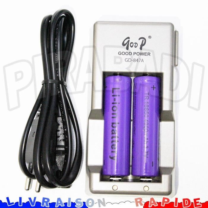 2 PILES ACCUS RECHARGEABLE 18650 3.7V 4900mAh + CHARGEUR CHARGE RAPIDE GD-847A Réf:23