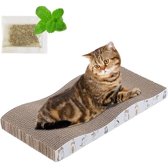 Griffoir pour chat avec herbe à chat, double face design durable pour ...