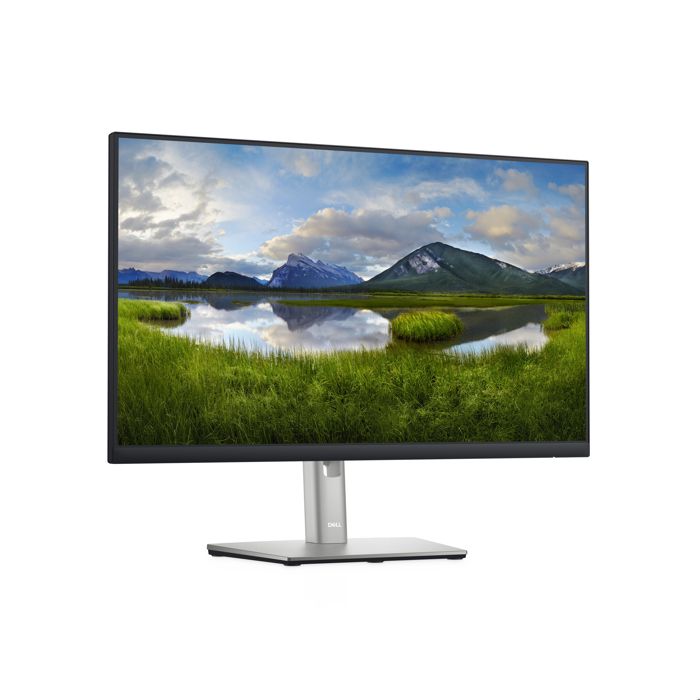 Dell P2422H 24 Full HD (1920×1080) Écran PC 60Hz IPS 5ms 99% sRGB DisplayPort HDMI VGA 5x USB Garantie 3 ans Noir