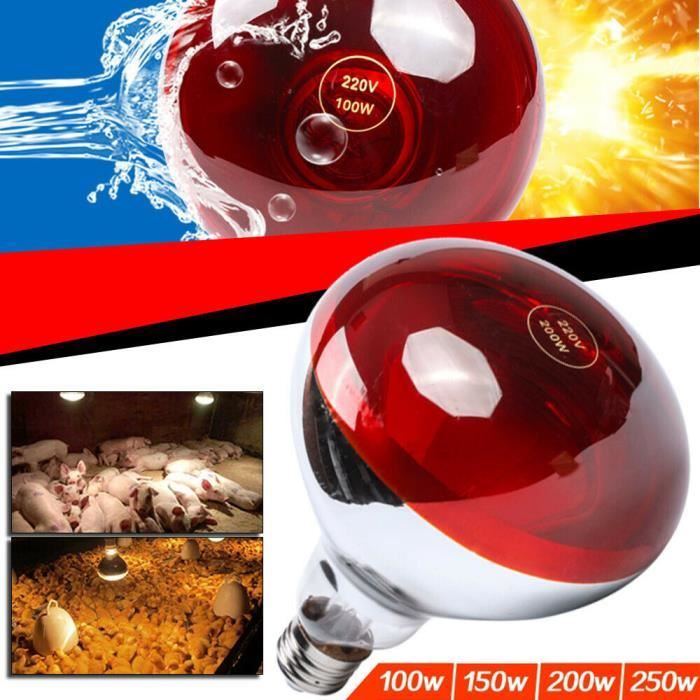 Lampe Chauffante Chat Achat Vente Pas Cher