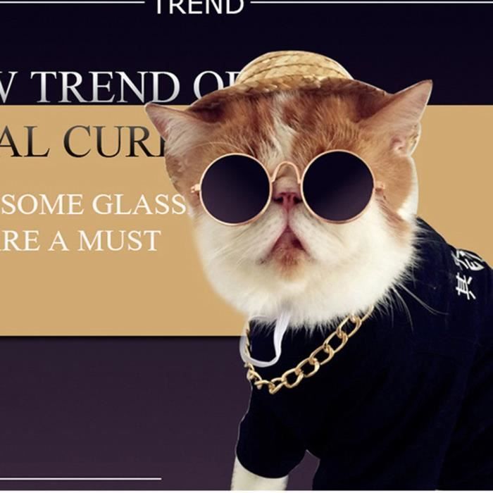 Lunette pour store chat