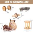 12 PCS Petits animaux de compagnie Jouet à croquer pin naturel en bois molaire jouet pour hamster chinchilla-1