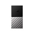 WESTERN DIGITAL SSD Portable WD My Passport WDBK3E0010PSL-WESN - Externe - 1 To - USB 3.1-1