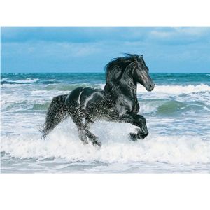 PUZZLE PUZZLE 500 pièces - Cheval noir - 49 X 36 cm