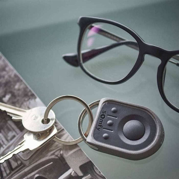 Keygo Smarttrunc(Télécommande Keygo RTS - Portail et porte de garage - Somfy ...