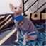 Zhihan Sphinx Gris Plus Vetements De Velours Chat Sans Poil Chat Allemand Vetements D Automne Et D Hiver Chauds Gris Achat Vente Arbre A Chat Zhihan Sphinx Gris Plus Cdiscount Zhihan Sphinx Gris Plus Vetements De Velours Chat Sans Poil Chat Allemand Vetements D Automne Et D Hiver Chauds Gris Achat Vente Arbre A Chat Zhihan Sphinx Gris Plus Cdiscount