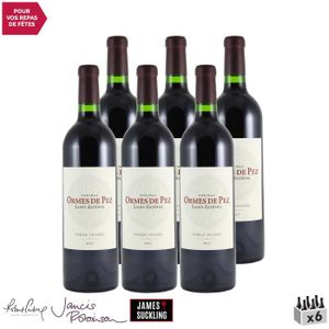 VIN ROUGE Château Ormes de Pez Rouge 2017 - Lot de 6x75cl - 