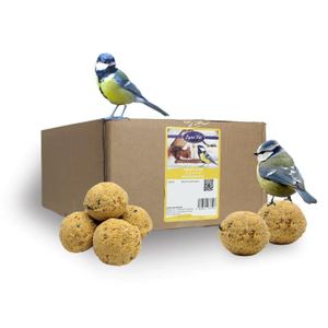 Mice&Co Boules de Graisse pour Oiseaux Sauvages - Nourriture pour Oiseaux  Exterior I Boules de Graisse sans Filet pour Oiseaux - 16 Unités de 90 g :  : Jardin