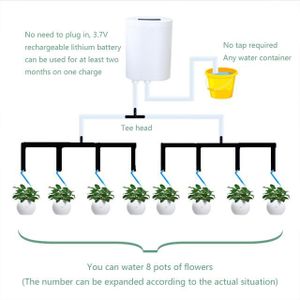 5 pièces dispositif d'arrosage automatique globes vacances plante d'intérieur  pot bulbes abreuvoir de jardin - SENEGAL ELECTROMENAGER