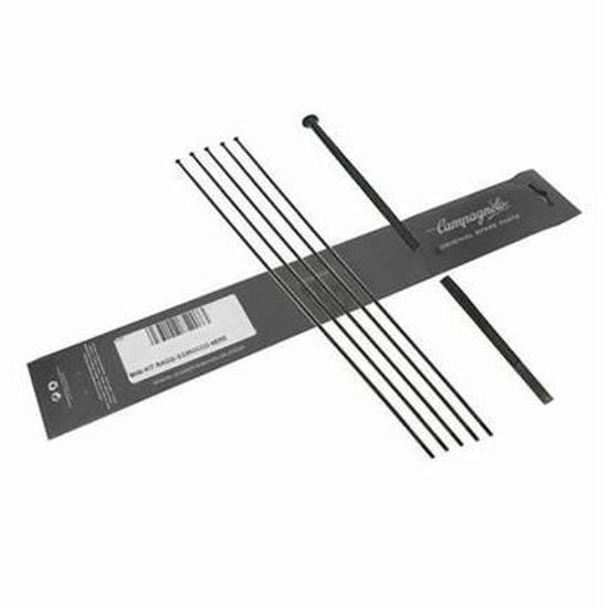 Rayon Arrière Pour Roue Vélo Campagnolo Neuron - Longueur 297 Mm Avec