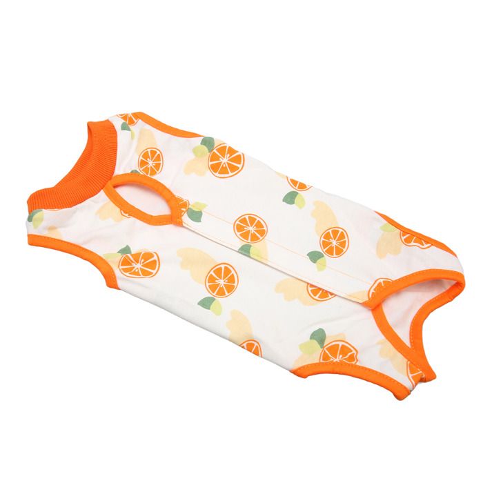 Meilleurs prix pour SALUTUYA chemise de récupération pour chaton Combinaison de récupération pour chat animalerie costume XL pour M pour 150-155 cm