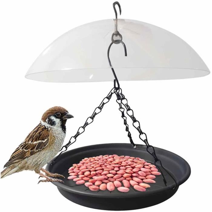 mangeoires à oiseaux suspendues mangeoire à oiseaux à l'épreuve